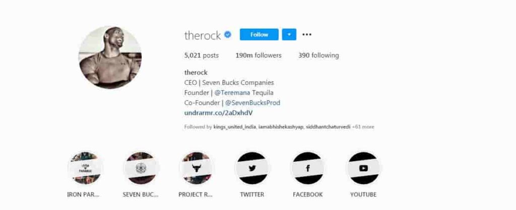 the rock instagram Bios