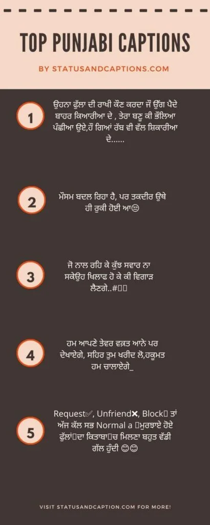 Top Punjabi Captions infographic