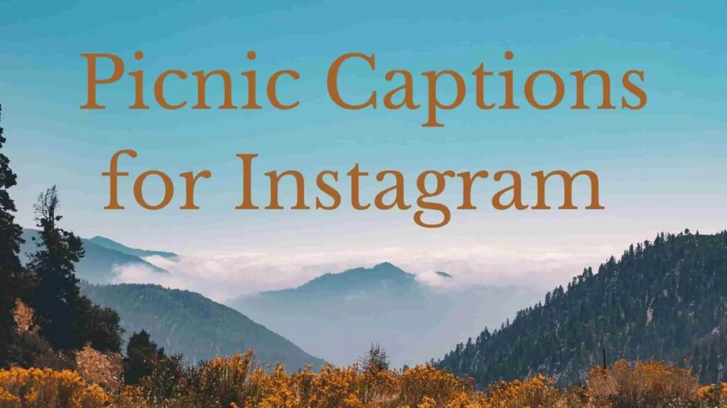 Picnic Captions for Instagram