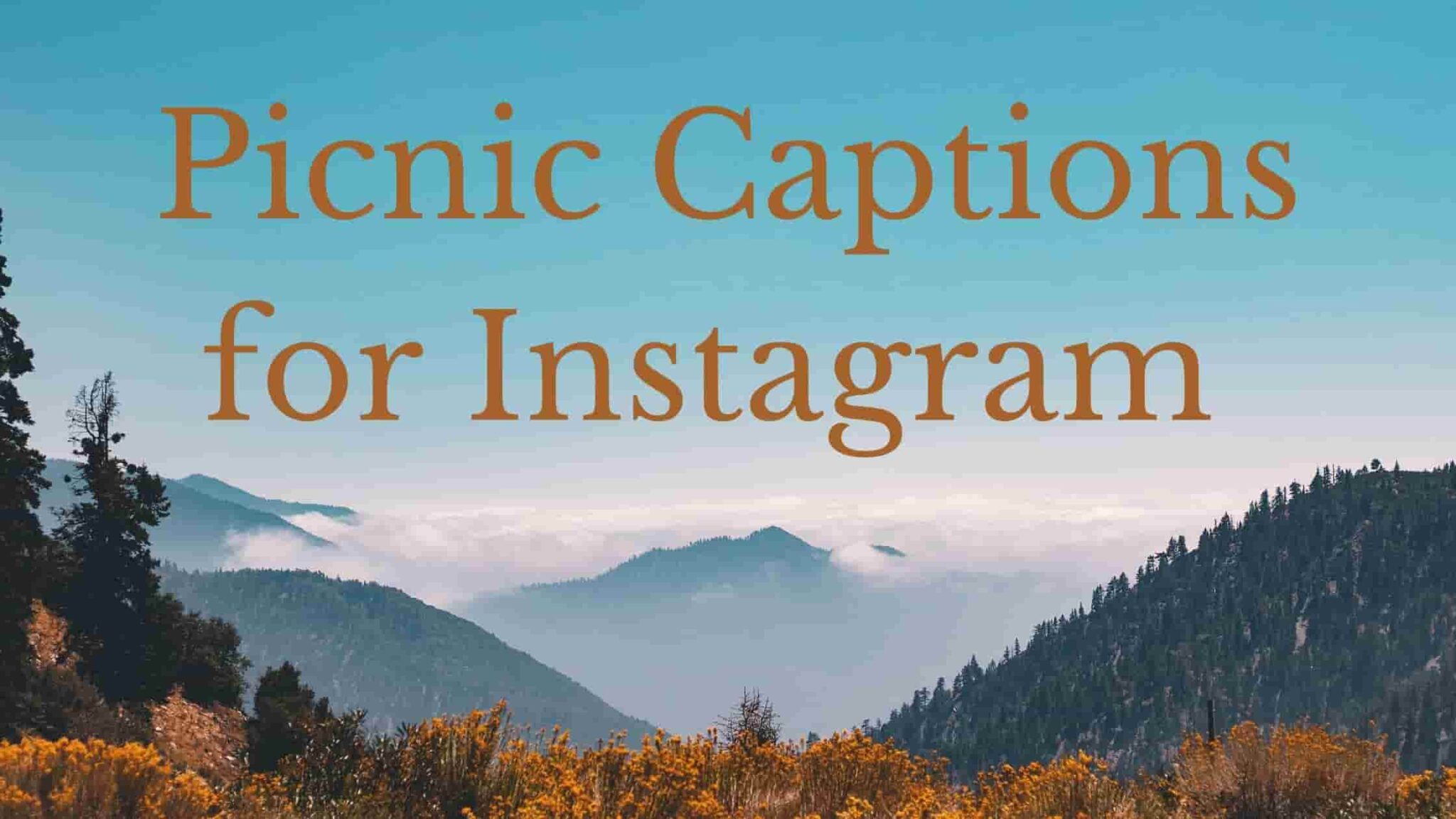 Picnic Day Captions For Instagram