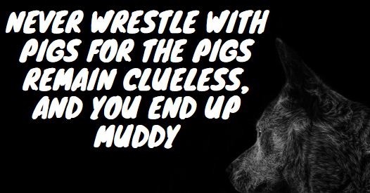 Never wrestle with pigs for the pigs remain clueless, and you end up muddy