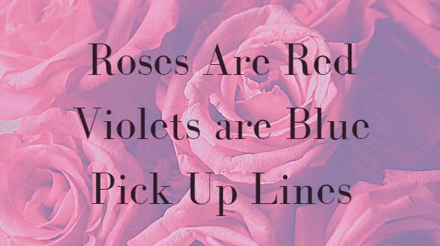 Roses are red violets are blue funny quotes