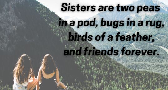 Elder Younger Sister Sayings 