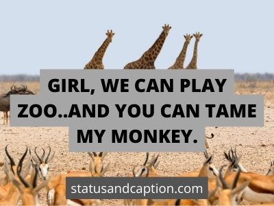 Funny Animal Pick Up Lines