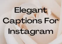 Elegant Captions For Instagram