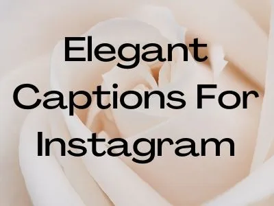 Elegant Captions For Instagram