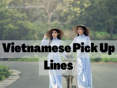 Vietnamese Pick Up Lines2