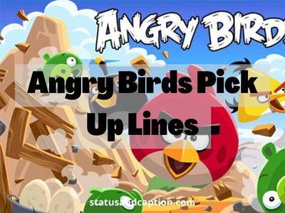 Angry Birds Pick Up Lines