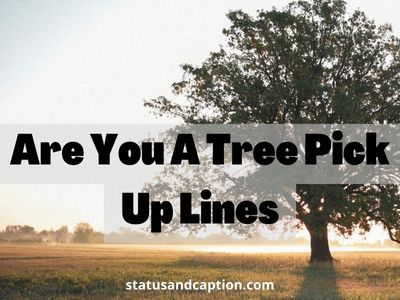 Are You A Tree Pick Up Lines