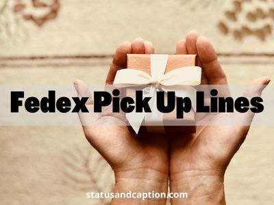 Fedex Pick Up Lines