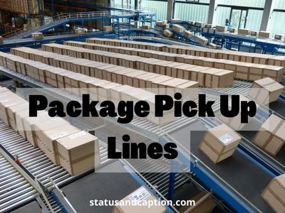 Package Pick Up Lines