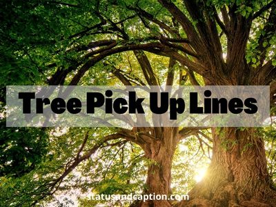 Tree Pick Up Lines
